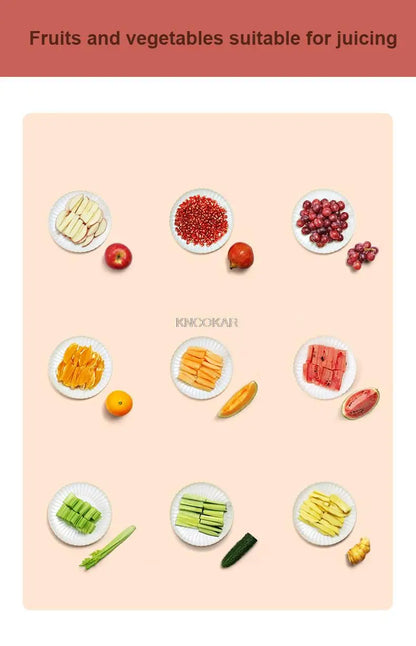 FreshShip ColdPress Mini